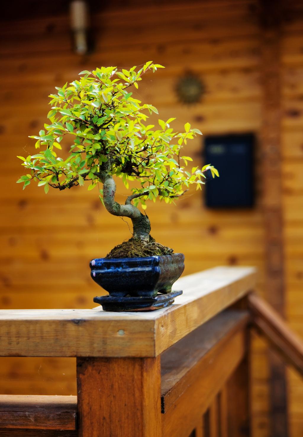 Artichouse Waterford, Ireland